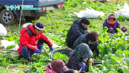 가족을 다시 일어설 수 있게 해준 갓김치! 평범한 가정주부에서 갓김치의 여왕이 된 사연은?