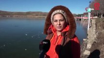 Göl dondu, karabataklar belgesel tadında görüntü oluşturdu
