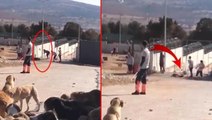 Konya'da köpeğe kürekle işkence eden 2 cani, tahliye edildi