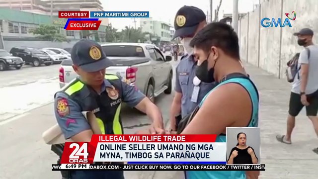 Lalaking ilegal na nagbebenta umano ng indian ringneck parrot, arestado; 2 kasabwat niya, nakatakas | 24 Oras