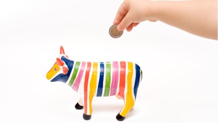 Ils proposaient d'investir dans un cheptel inexistant : des millions d'euros dérobés