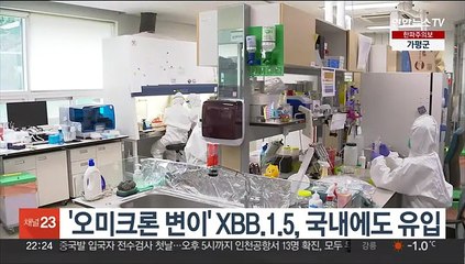 '오미크론 변이' XBB.1.5, 국내에도 유입