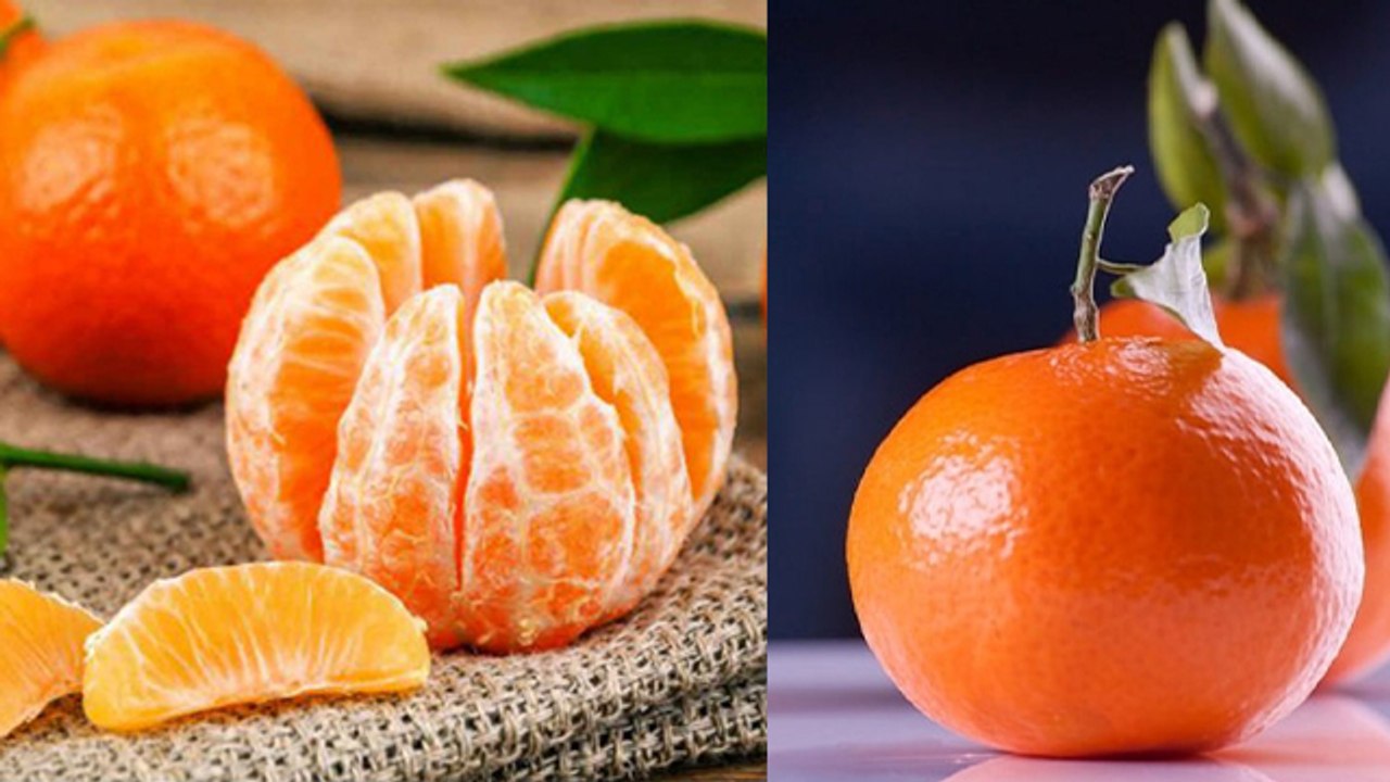 संतरा या किन्नू सेहत के लिए ज्यादा फायदेमंद क्या है, संतरा या किन्नू में क्या अंतर है | *Health