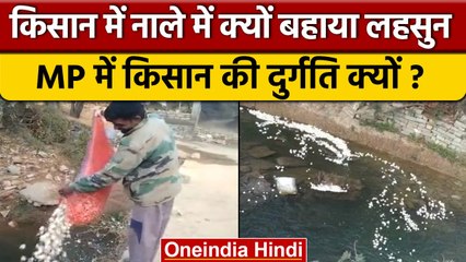 MP के Neemuch में Farmer ने नाले में क्यों बहा दी Garlic की पूरी फसल ? | वनइंडिया हिंदी | *News