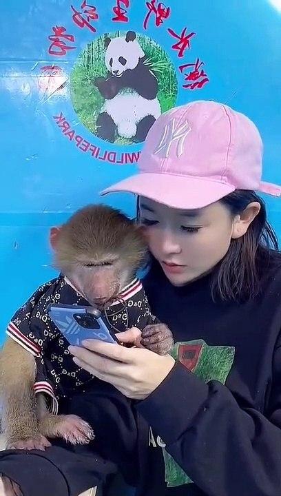 Monkey scared