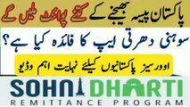 Sohni Dharti Remittance app _ SDRP Types of virtual card and percentage ratios of green, gold and platinum card points and rewards detail