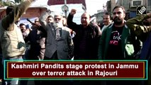 Kashmiri Pandits stage protest in Jammu over terror attack in Rajouri