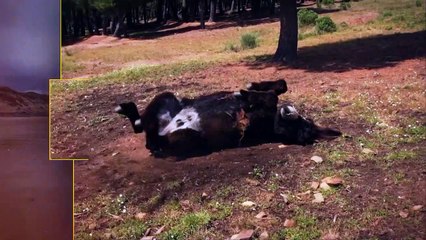 Planeta Verde  - Eficiência energética na indústria