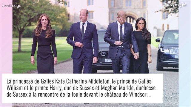 Je voudrais récupérer mon père et mon frère : le cri du coeur du prince Harry qui se sent trahi