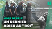 Les Brésiliens rendent un dernier hommage au « Roi » Pelé