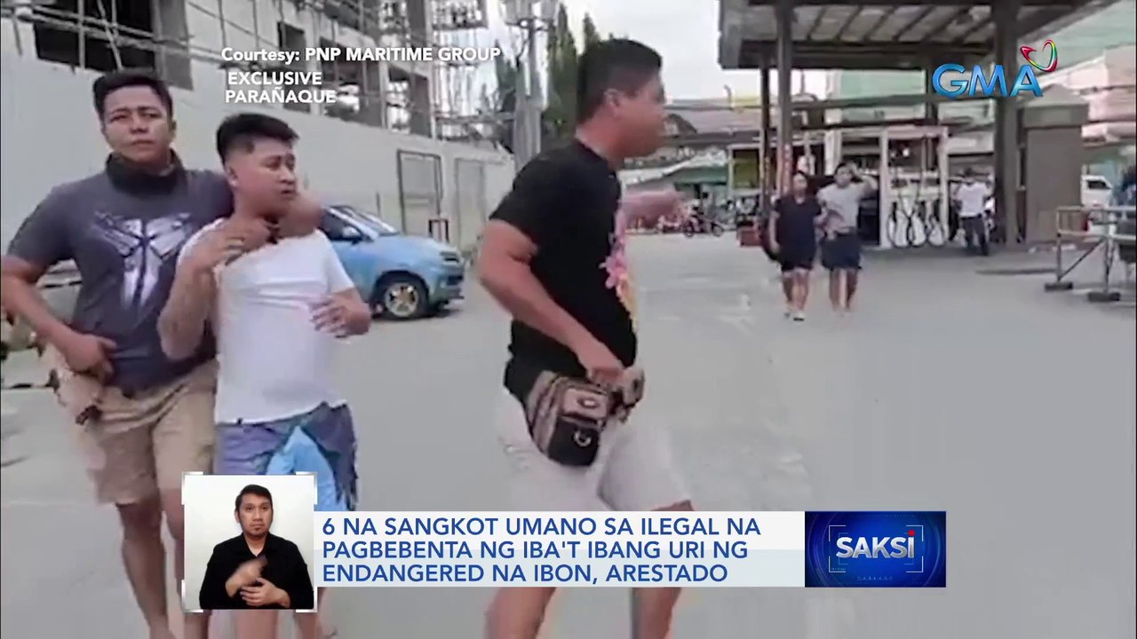 6 na sangkot umano sa ilegal na pagbebenta ng iba't ibang uri ng endangered na ibon, arestado | Saksi