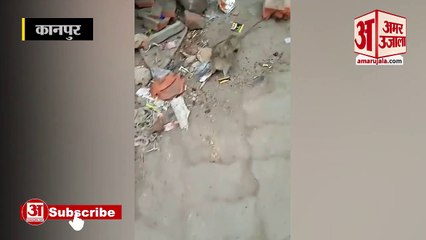 Kanpur से अजीबो गरीब वीडियो हो रहा है वायरल, दो चूहों का आपस में लड़ते हुए वीडियो वायरल