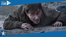 Harry Potter et les reliques de la mort, partie 2 (TMC) : cet acteur arrêté pour possession de drogu