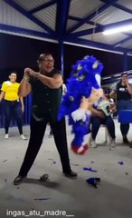 SI TE RÍES PIERDES NIVEL DIOS 999.99% 2023-IMPOSIBLE NO REÍRSE Vídeos De Risa Muy Graciosos 2023