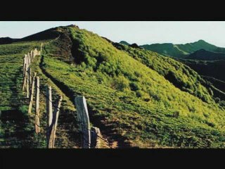 Le Puy Griou et l'élancèze (Cantal.15)