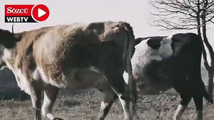 Gelecek Partisi: Türkiye sütten kesiliyor!