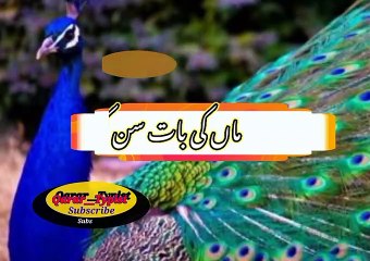Maa ki yi baat sun kar | ماں کی یہ بات سن کر | qarar__typist