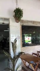 Cliente sofre racismo em restaurante do DF