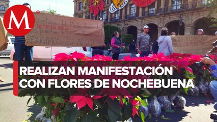 Floricultores protestan en el Zócalo por bajas ventas de la flor de nochebuena