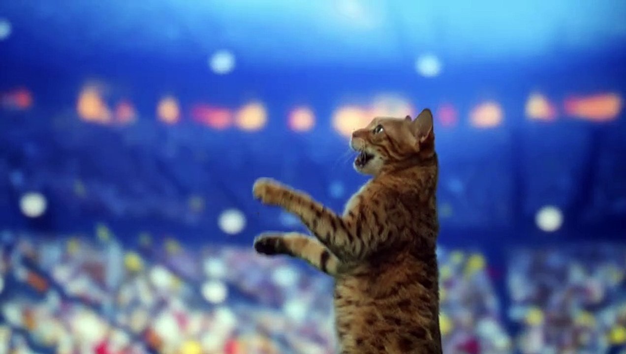 The Secret Life of Our Pets S01E01 (Jan 11 2022)