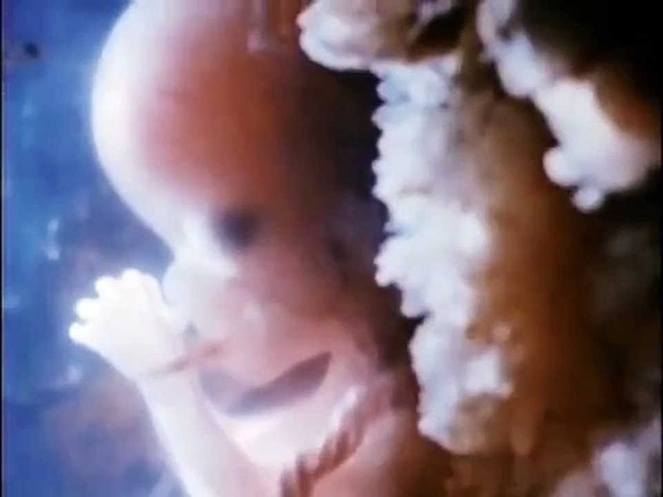 In Search of... - Se6 - Ep24 HD Watch