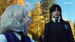 Wednesday Addams  Welcome to Nevermore - Netflix