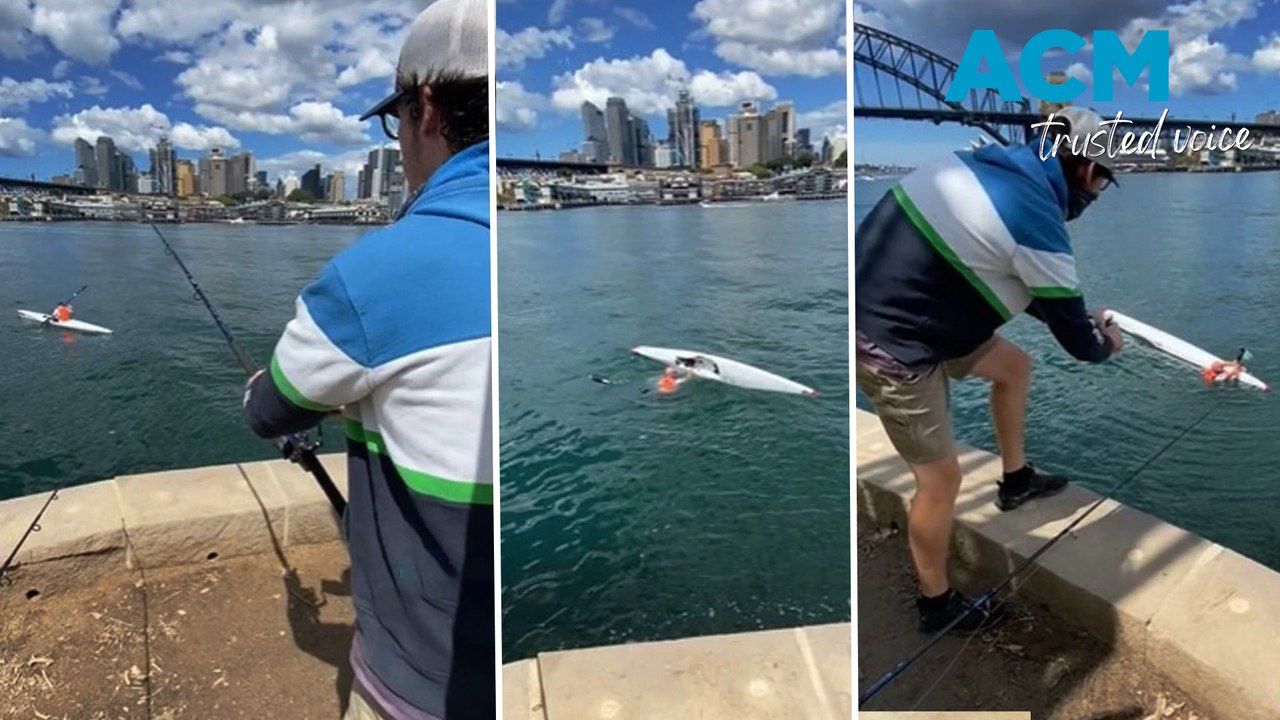 Cheeky angler reels in furious kayaker off Sydney Harbour