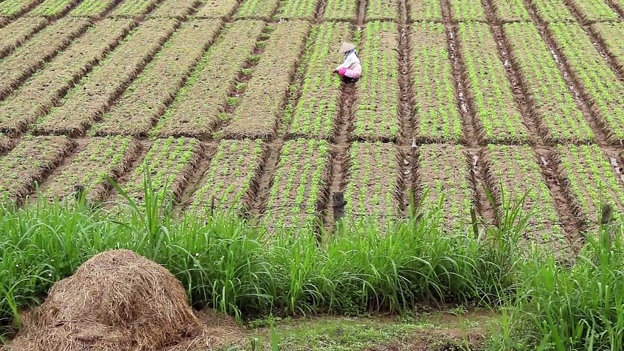 Ancient Civilizations - Se2 - Ep02 HD Watch