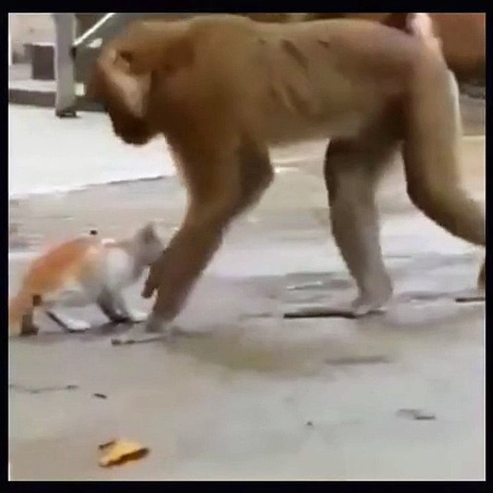 at need justice