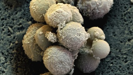 Scientists trial new drug that could help us live until 120 years old