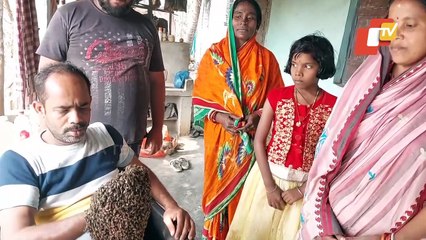 Special Story | Meet the Bee Man from Odisha