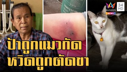 ป้าถูกแมวกัด 8 วันไม่หาย เปลี่ยน 3 รพ.หวิดตัดขา | ข่าวเที่ยงอมรินทร์ | 3 ม.ค.66