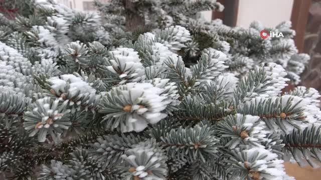 Elazığ'da kırağı ve don etkili oldu