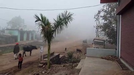 तीन दिन से कोहरे के आगोश में बारां जिला
