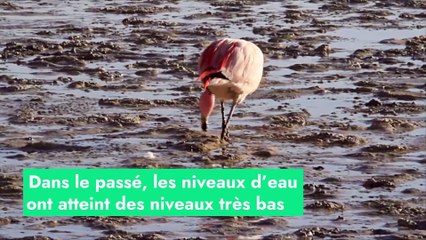 Bolivie : le lac Poopó, 2ème plus grand lac du pays, est devenu un désert de sel