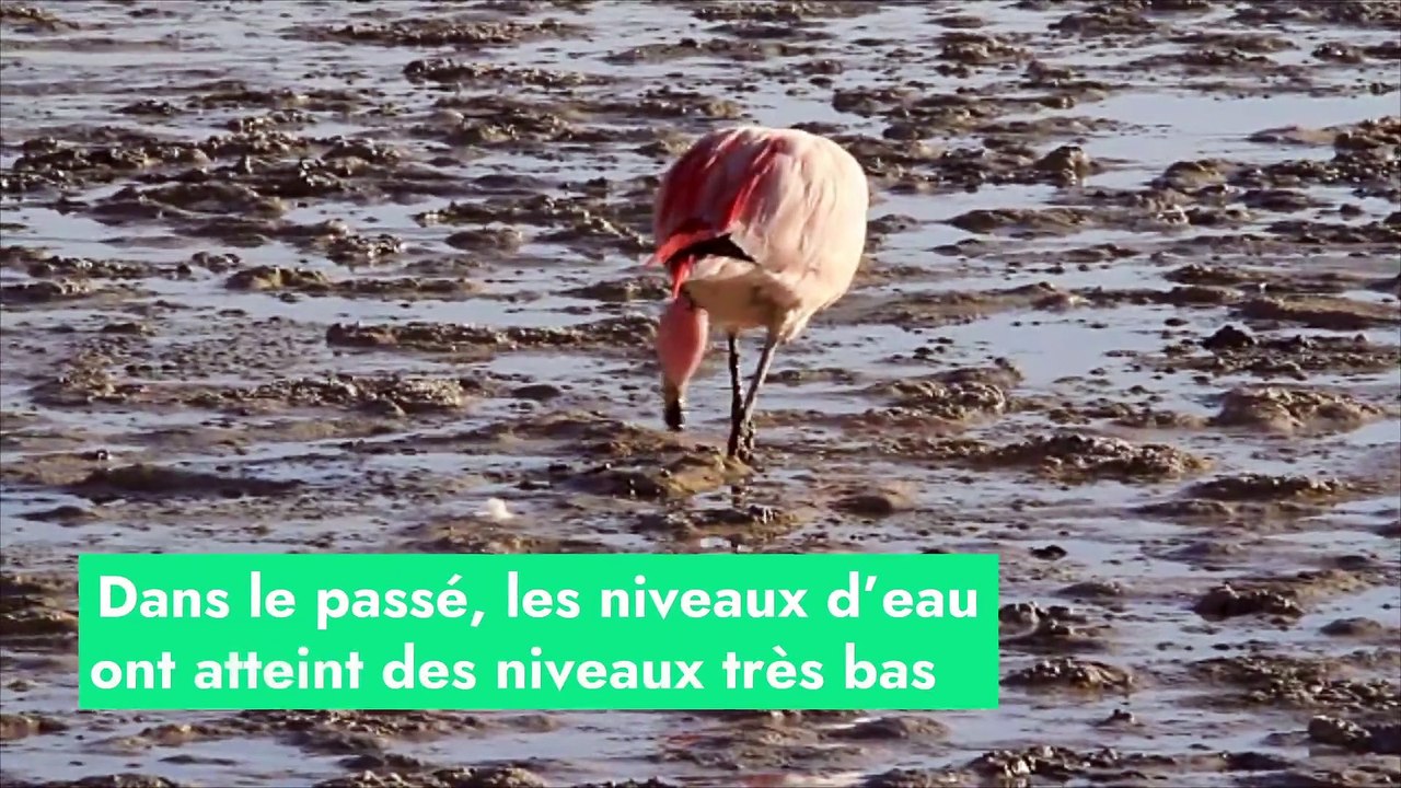 Bolivie : le lac Poopó, 2ème plus grand lac du pays, est devenu un désert de sel
