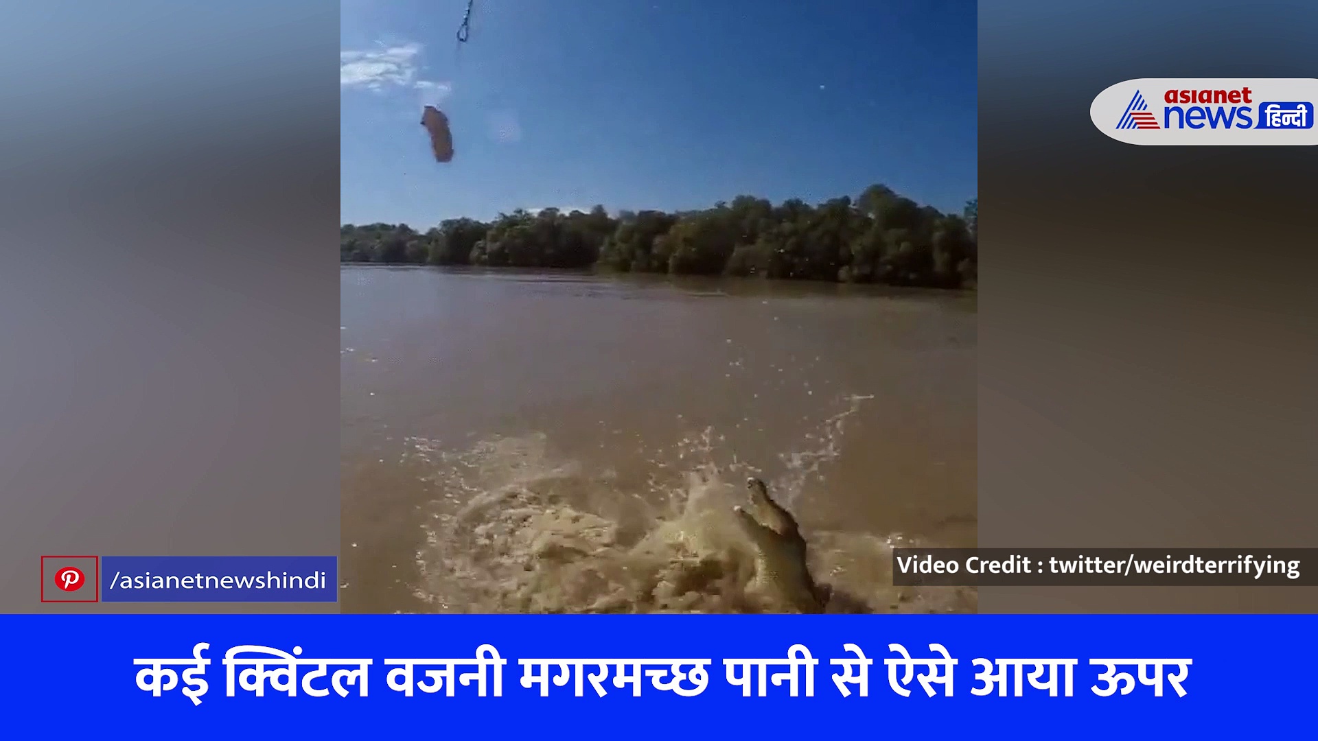 मगरमच्छ की पूंछ में होती है इतनी जबर्दस्त ताकत, वीडियो देखकर दंग रह जाएंगे आप