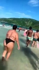 Vídeo. Baleias encalham e causam o pânico em praia no Brasil