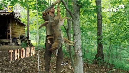 العيش الحر | نقطة اللاعودة