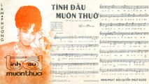 Tình Đầu Muôn Thuở (Lam Phương) Thanh Tuyền, Thanh Phong Pre 1975