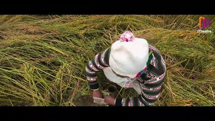 Koshai (2021) - কসাই (২০২১)