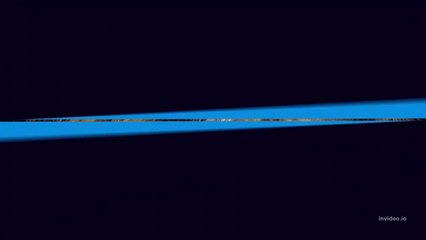 10 Tips on How to Survive Wild Animal Attacks