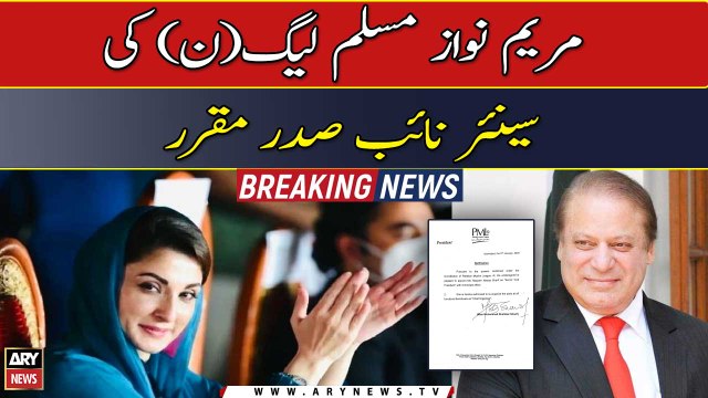 Maryam Nawaz appointed PML-N’s vice-president, chief organiser