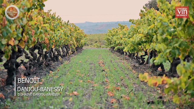 Le Roussillon, une région aux multiples facettes