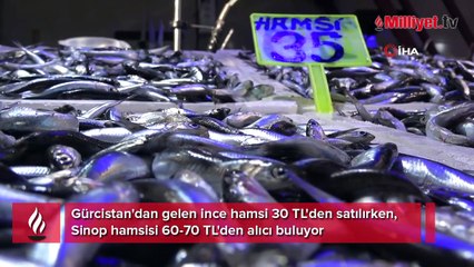 Gürcü hamsisi 30, Sinop hamsisi 60 TL
