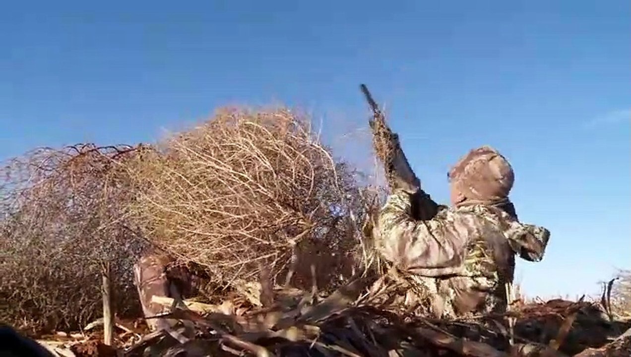 MeatEater - Se5 - Ep10 HD Watch