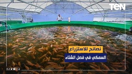 تتناول فيتامين "سي" ورافعات للمناعة.. نصائح للاستزراع السمكي في فصل الشتاء