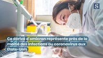 Coronavirus: ce que l'on sait du variant omicron XBB.1.5 découvert aux Etats-Unis