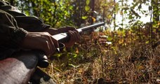 Selon un sondage, 8 Français sur 10 seraient favorables à l'interdiction de la chasse le dimanche