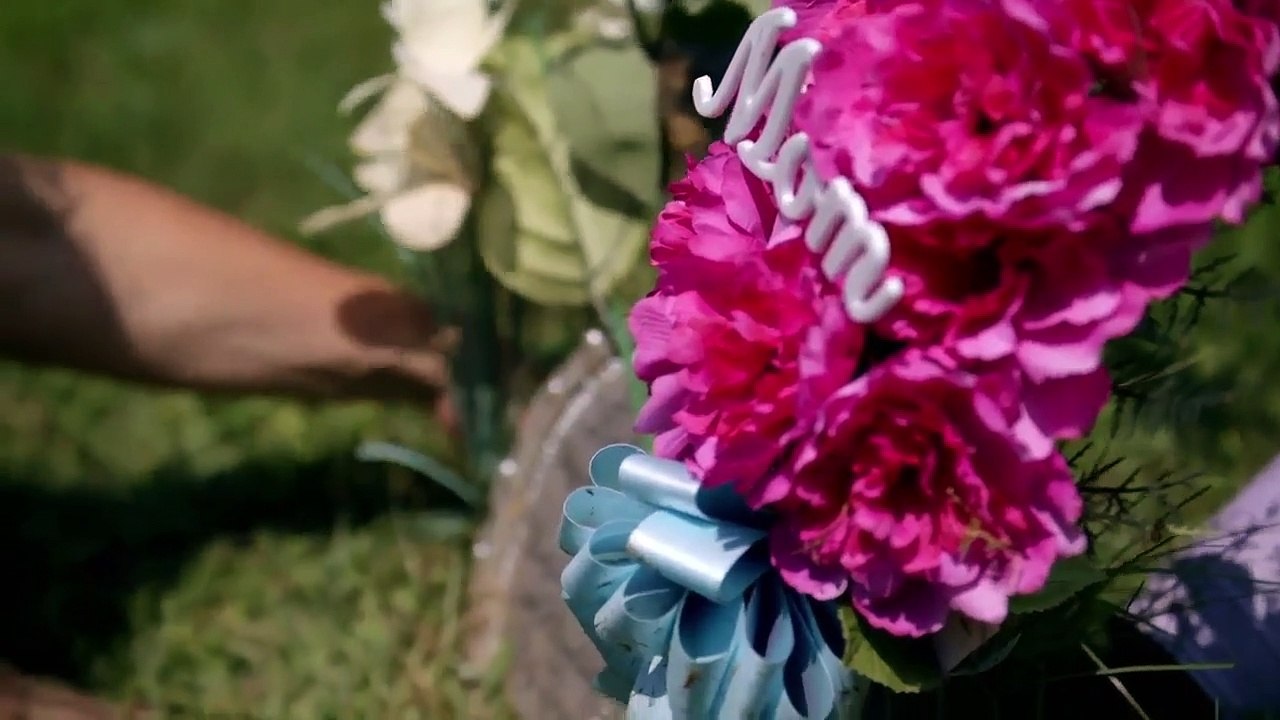 Raw Trr - Se1 - Ep02 - Cabin in the Woods HD Watch